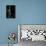 Ischnura Elegans (Blue-Tailed Damselfly)-Paul Starosta-Framed Premier Image Canvas displayed on a wall