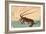 Ise Ebi to Shiba Ebi-Utagawa Hiroshige-Framed Giclee Print