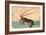 Ise Ebi to Shiba Ebi-Utagawa Hiroshige-Framed Giclee Print