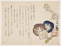 Morning Glories, C.1830-?ishi Matora-Laminated Giclee Print