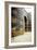 Ishtar Gate, Babylon, 575 BC, (c20th century)-Unknown-Framed Giclee Print