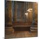 Premium Photographic Print