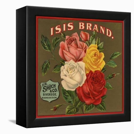 Isis Brand - Riverside, California - Citrus Crate Label-Lantern Press-Framed Stretched Canvas