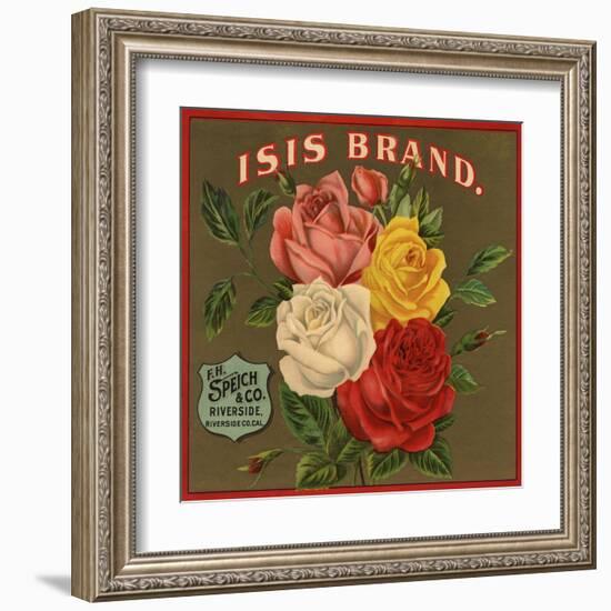 Isis Brand - Riverside, California - Citrus Crate Label-Lantern Press-Framed Art Print