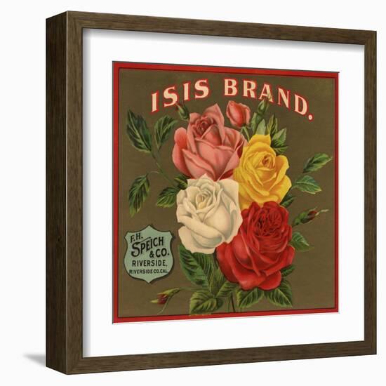 Isis Brand - Riverside, California - Citrus Crate Label-Lantern Press-Framed Art Print