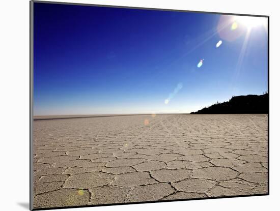 Isla de Los Pescadores and Salt Flats, Salar de Uyuni, Southwest Highlands, Bolivia, South America-Simon Montgomery-Mounted Photographic Print