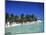 Isla Mujeres, Yucatan, Mexico, North America-Nelly Boyd-Mounted Photographic Print