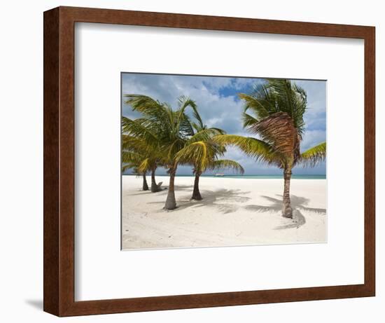 Isla Pasion (Passion Island) Off Isla De Cozumel, Cozumel, Mexico, North America-Michael DeFreitas-Framed Photographic Print