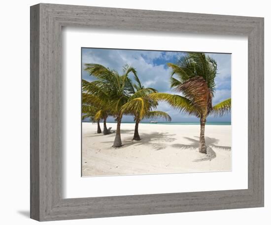 Isla Pasion (Passion Island) Off Isla De Cozumel, Cozumel, Mexico, North America-Michael DeFreitas-Framed Photographic Print