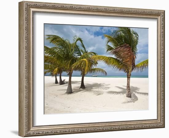 Isla Pasion (Passion Island) Off Isla De Cozumel, Cozumel, Mexico, North America-Michael DeFreitas-Framed Photographic Print