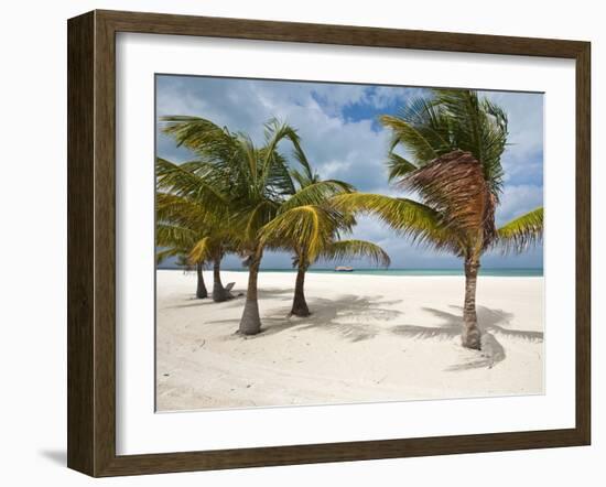 Isla Pasion (Passion Island) Off Isla De Cozumel, Cozumel, Mexico, North America-Michael DeFreitas-Framed Photographic Print