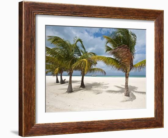 Isla Pasion (Passion Island) Off Isla De Cozumel, Cozumel, Mexico, North America-Michael DeFreitas-Framed Photographic Print