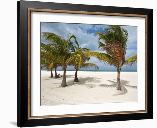 Isla Pasion (Passion Island) Off Isla De Cozumel, Cozumel, Mexico, North America-Michael DeFreitas-Framed Photographic Print