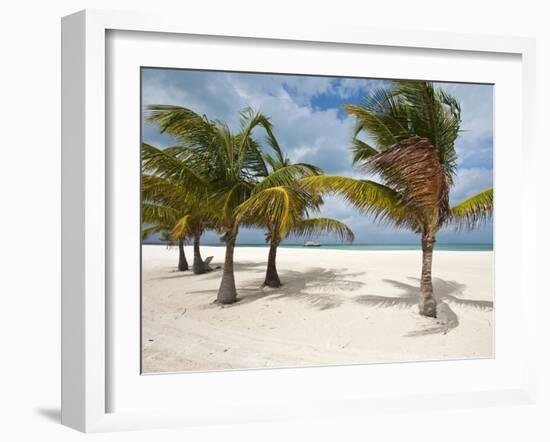 Isla Pasion (Passion Island) Off Isla De Cozumel, Cozumel, Mexico, North America-Michael DeFreitas-Framed Photographic Print