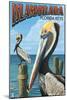 Islamorada, Florida Keys - Pelicans-Lantern Press-Mounted Art Print