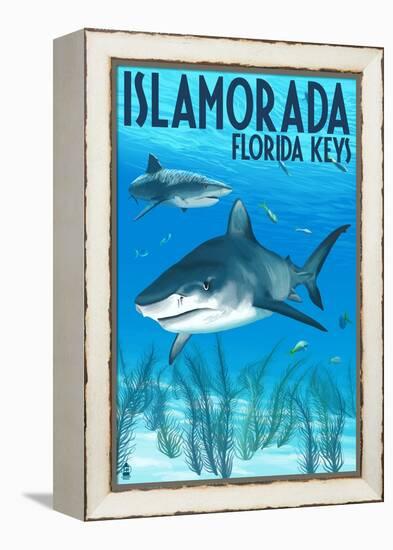 Islamorada, Florida Keys - Tiger Shark-Lantern Press-Framed Stretched Canvas