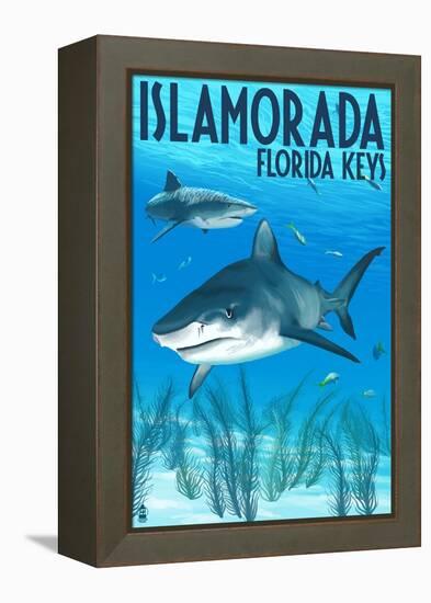 Islamorada, Florida Keys - Tiger Shark-Lantern Press-Framed Stretched Canvas