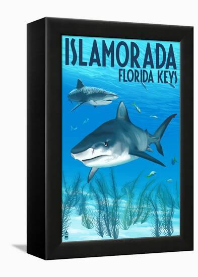 Islamorada, Florida Keys - Tiger Shark-Lantern Press-Framed Stretched Canvas