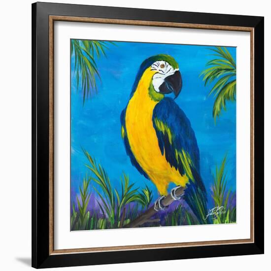 Island Birds Square II-Julie DeRice-Framed Art Print