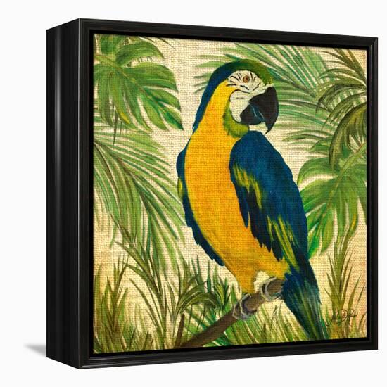 Island Birds Square on Burlap II-Julie DeRice-Framed Stretched Canvas