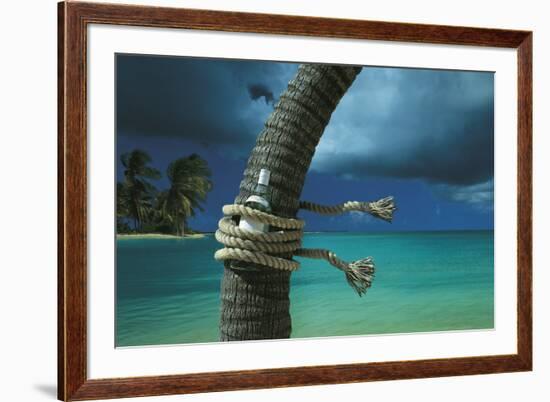 Island Breeze-Chris Simpson-Framed Giclee Print