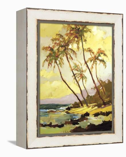 Island Dream-Darrell Hill-Framed Premier Image Canvas