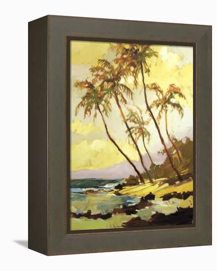 Island Dream-Darrell Hill-Framed Premier Image Canvas