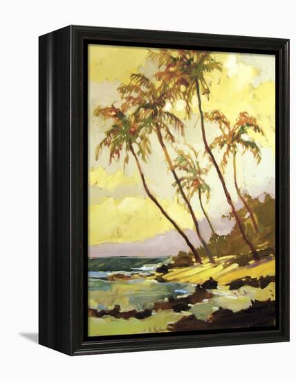 Island Dream-Darrell Hill-Framed Premier Image Canvas