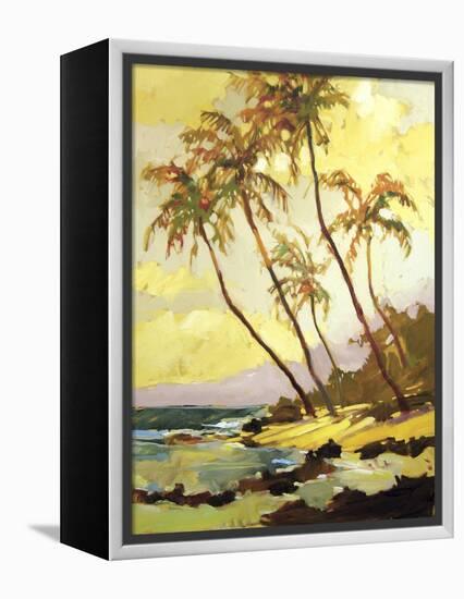 Island Dream-Darrell Hill-Framed Premier Image Canvas