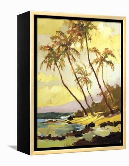 Island Dream-Darrell Hill-Framed Premier Image Canvas