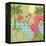 Island Flamingo II-Paul Brent-Framed Stretched Canvas