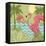 Island Flamingo II-Paul Brent-Framed Stretched Canvas