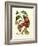 Island Fruits III-Berthe Hoola Van Nooten-Framed Art Print