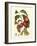 Island Fruits III-Berthe Hoola Van Nooten-Framed Art Print