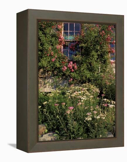 Island Garden, Maine, USA-Jerry & Marcy Monkman-Framed Premier Image Canvas