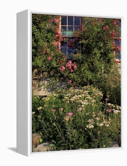 Island Garden, Maine, USA-Jerry & Marcy Monkman-Framed Premier Image Canvas