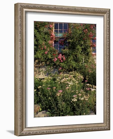 Island Garden, Maine, USA-Jerry & Marcy Monkman-Framed Photographic Print