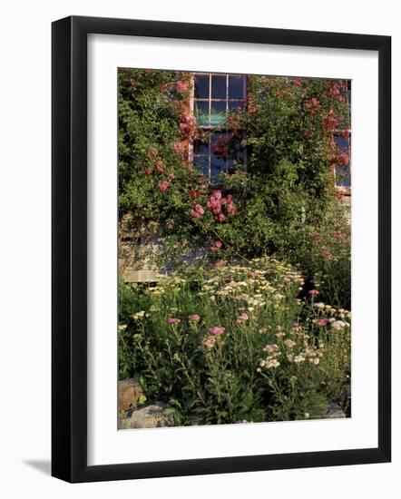 Island Garden, Maine, USA-Jerry & Marcy Monkman-Framed Photographic Print