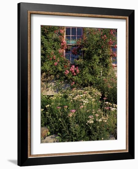 Island Garden, Maine, USA-Jerry & Marcy Monkman-Framed Photographic Print