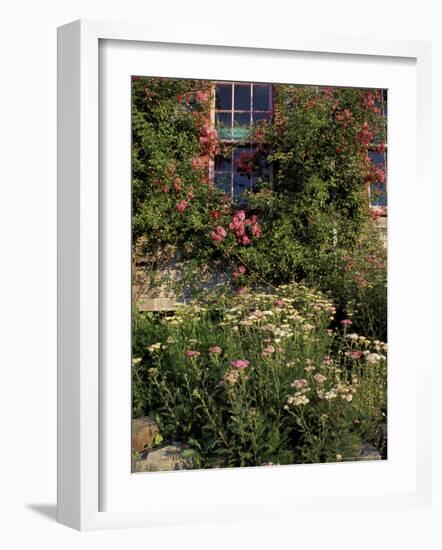 Island Garden, Maine, USA-Jerry & Marcy Monkman-Framed Photographic Print