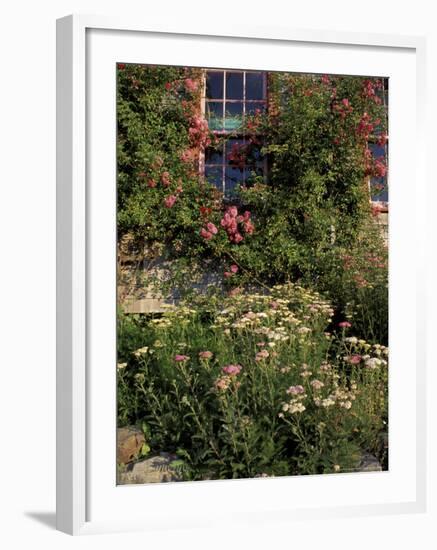 Island Garden, Maine, USA-Jerry & Marcy Monkman-Framed Photographic Print