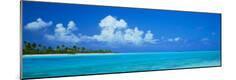 Photographic Print