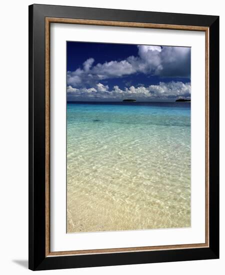 Island Landscape, Vava'U Island, Tonga-Gavriel Jecan-Framed Photographic Print