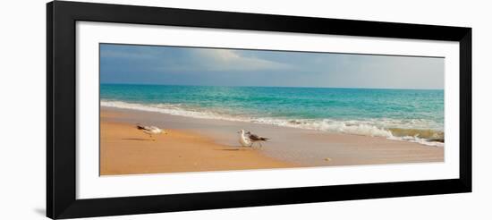 Island Memories I-Susan Bryant-Framed Photo