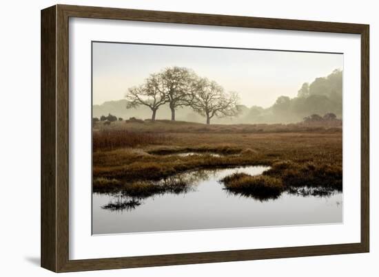Island Oak Trees-Alan Blaustein-Framed Photographic Print