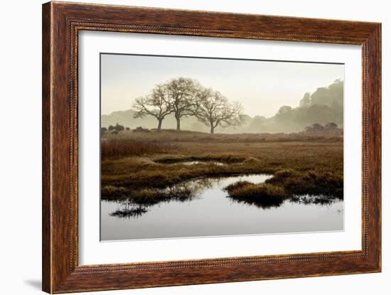 Island Oak Trees-Alan Blaustein-Framed Photographic Print