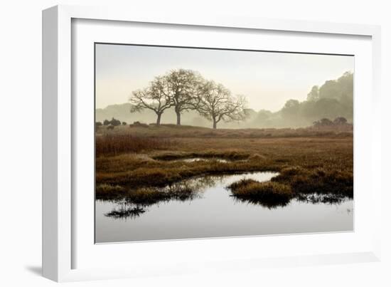 Island Oak Trees-Alan Blaustein-Framed Photographic Print