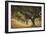 Island Oak-William Guion-Framed Giclee Print