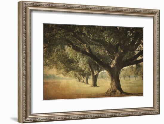Island Oak-William Guion-Framed Giclee Print