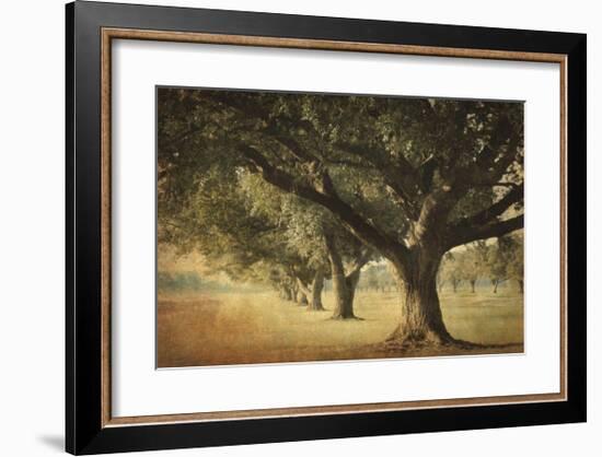 Island Oak-William Guion-Framed Giclee Print